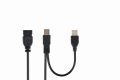   GEMBIRD Dual USB 2.0 A-plug A-socket 6 ft hosszabbító kábel CCP-USB22-AMAF-6