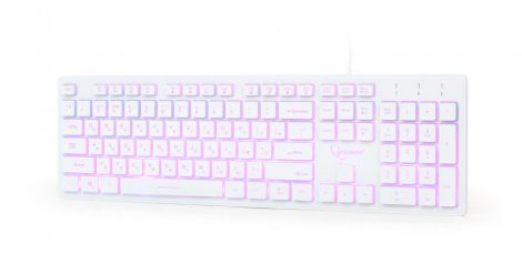 GEMBIRD KB-UML3-01-W-RU 3-color backlight multimedia keyboard, white, RU layout